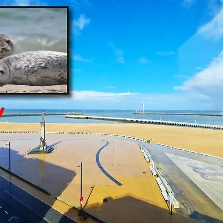 Maui - Zeezichtappartement Te Ostend