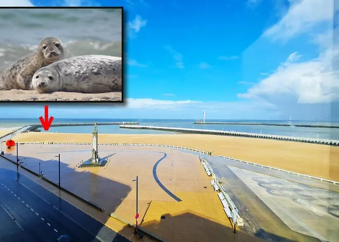 Maui - Zeezichtappartement Te 奥斯滕德